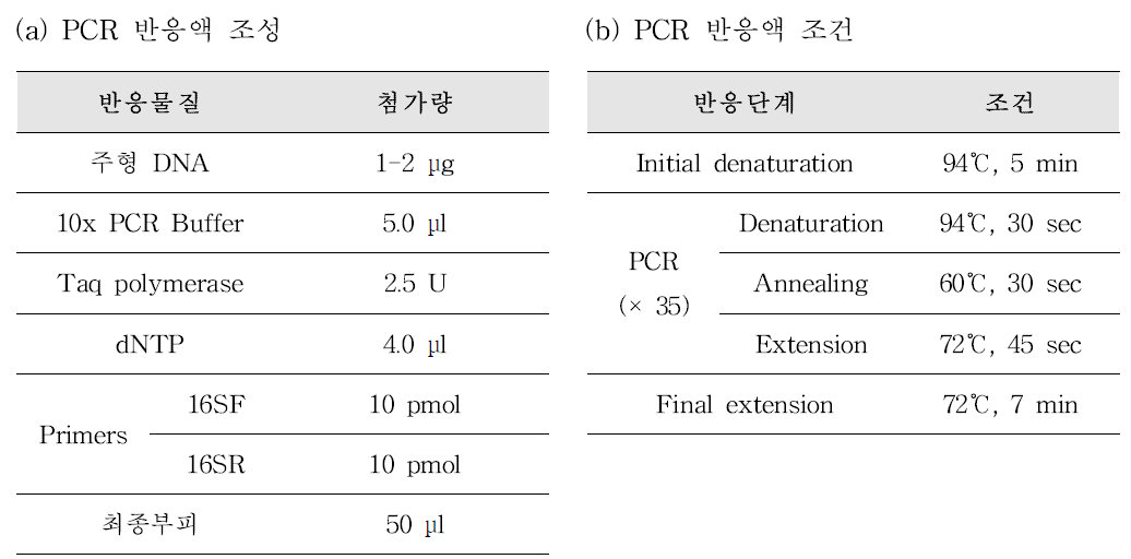 Aeromonas species-specific PCR 반응액 조성(a) 및 PCR 반응 조건(b)