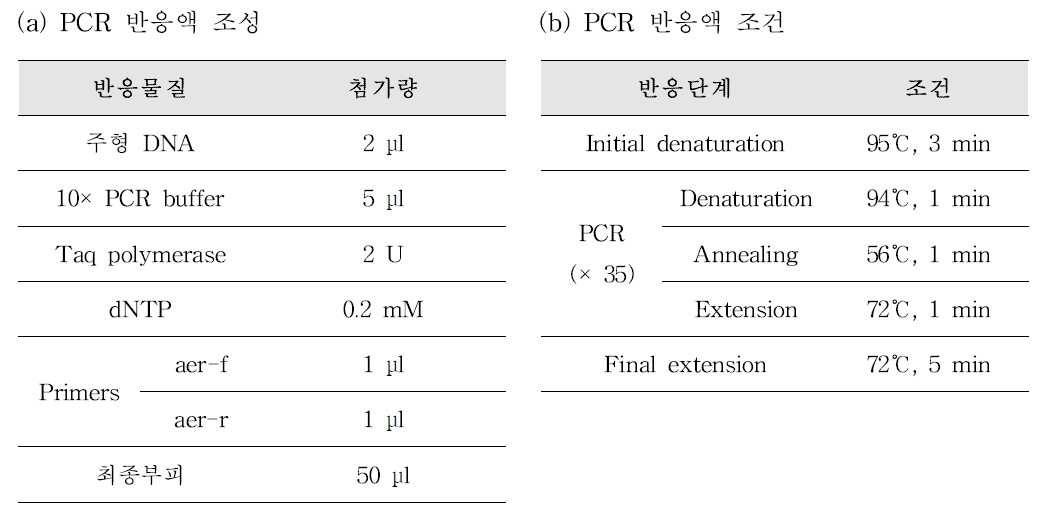 독소유전자 aer을 보유한 병원성 Aeromonas 검출을 위한 PCR 반응액 조성(a) 및 PCR 반응 조건(b)