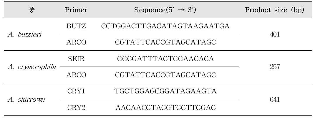 Arcobacter 3종 분류를 위한 multi-plex PCR 프라이머 염기서열