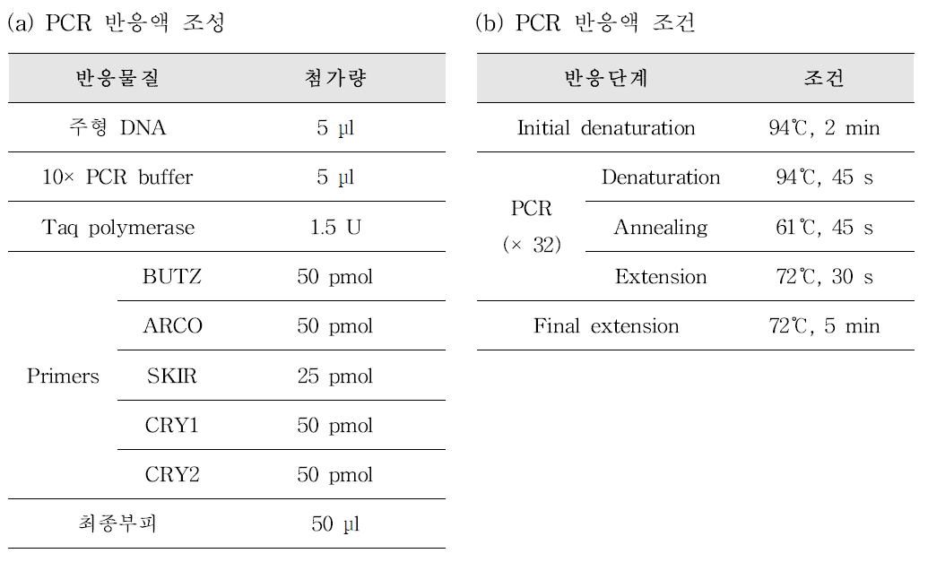 Arcobacter 3종 동정을 위한 multi-plex PCR 반응액 조성(a) 및 PCR 반응 조건