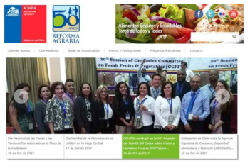 칠레 Agencia Chilena para la Inocuidad y Calidad Alimentarti 웹사이트