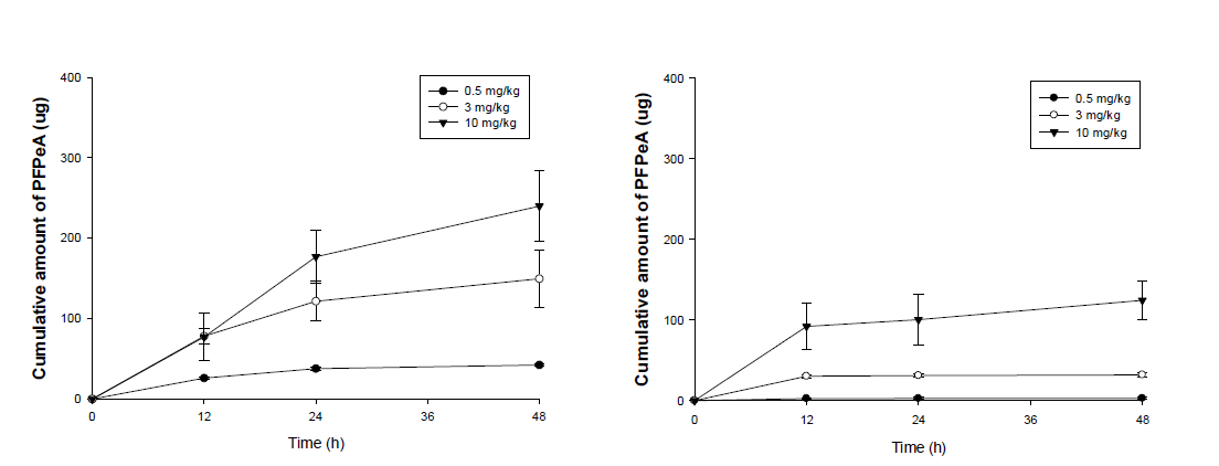 Female 랫트에서 PFPeA 경구 투여 후 뇨(좌) 및 분변(우) 중 누적량