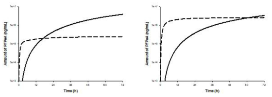 PBPK 핵심모델을 이용하여 human에 예측된 PFPeA 투여 시의 뇨 및 분변 누적량(male(좌), female(우))