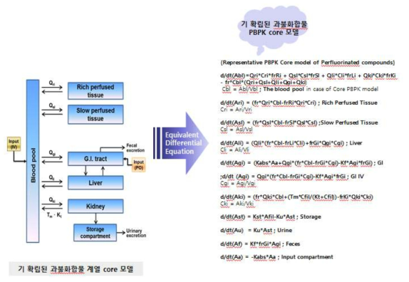 PFHxA의 과불화합물 PBPK core 모델로의 확대 적용 방법