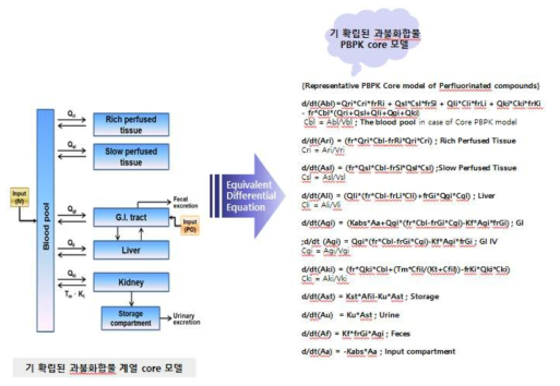 PFUnDA의 과불화합물류 PBPK core 모델로의 확대 적용 방법