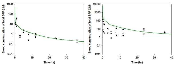 기 구축 모델로 예측한 BPF 정맥투여 시 혈중농도(symbol) 및 시뮬레이션(line) 결과 (좌: 7 mg/kg, 우: 100 mg/kg)