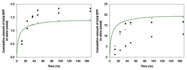 기 구축 모델로 예측한 BPF 정맥투여 시 누적 뇨 배설량 실측치(symbol) 및 시뮬레이션(line) 결과(좌: 7 mg/kg, 우: 100 mg/kg)