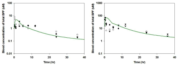 기 구축 모델로 예측한 BPF 경구투여 시 혈중농도(symbol) 및 시뮬레이션(line) 결과(좌: 7 mg/kg, 우: 100 mg/kg)