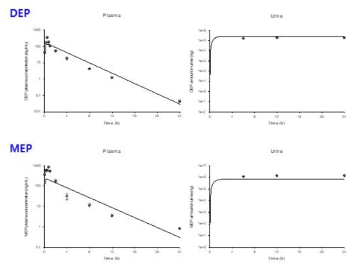 DEP 10 mg/kg를 랫드에 경구투여 후 DEP와 MEP의 혈중 시간-농도 profile 및 뇨로 배설된 누적 배설량 [실측치(symbol) 및 PBPK core 모델 시뮬레이션 결과(line)]