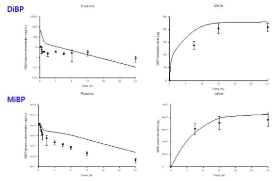 DiBP 10 mg/kg를 랫드에 정맥투여 후 DiBP와 MiBP의 혈중 시간-농도 profile 및 뇨로 배설된 누적 배설량 [실측치(symbol) 및 PBPK core 모델 시뮬레이션 결과(line)]