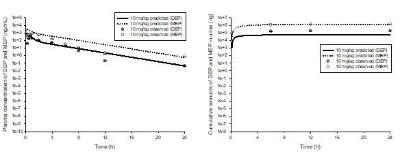 DEP 10 mg/kg를 랫드에 경구투여 후 DEP와 MEP의 혈중 시간-농도 profile 및 뇨로 배설된 누적 배설량 [실측치(symbol) 및 PBPK core 모델 시뮬레이션 결과(line)]