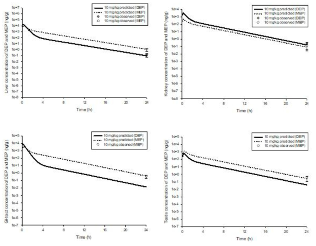 DEP 10 mg/kg를 랫드에 경구투여 후 DEP와 MEP의 liver, kidney, GI-tract 및 testis 내 농도 [실측치(symbol) 및 PBPK core 모델 시뮬레이션 결과(line)]