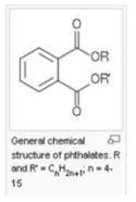 프탈레이트류 기본구조(한국식품안전연구원. 2017)