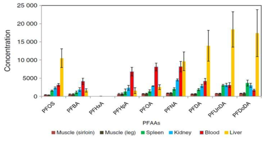 Concentrations of PFAAs in female MMpig blood (ng/ml) and tissues (ng/g) at 21 days after exposure to a single oral dose