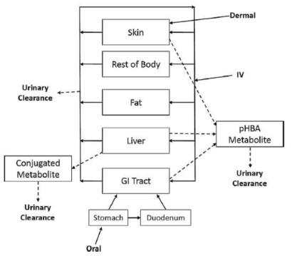파라벤의 PBPK 모델 구조(Campbell 등, 2015)