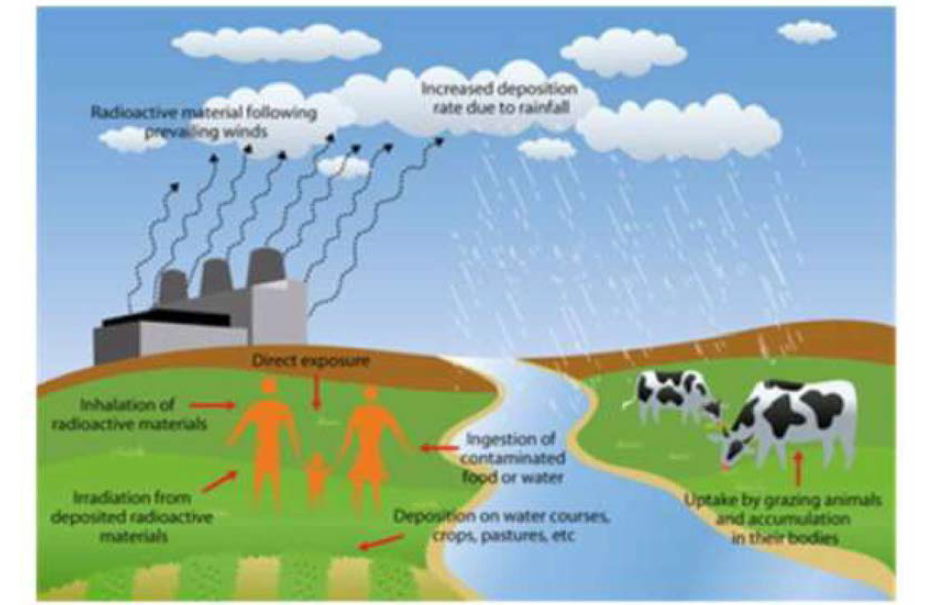 원전사고 또는 핵실험을 통하여 누출된 방사성 핵종의 섭취경로