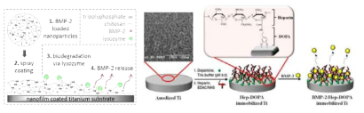 BMP 코팅된 치과용 바이오 임플란트. (왼쪽 - Poth, N. et al. (2015) Biomolecules 5(1):3-19. 오른쪽 – Lee, SH. et al (2013) J Korean Acad Prosthodont 51(4):307-314)