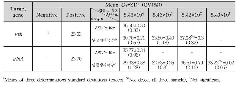 V. vulnificus 양배추 접종 검출결과