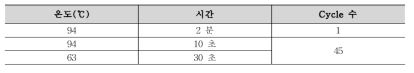 V. cholerae real-time PCR 조건