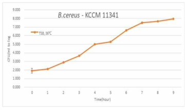 조건별 B. cereus의 성장곡선