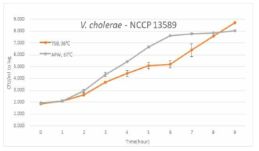 조건별 V. cholerae의 성장곡선