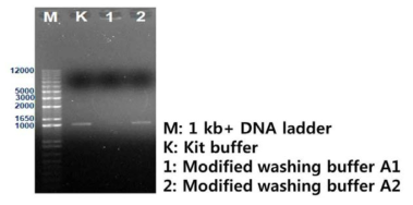 Comparison of optimized washing buffer and commercial kit on gel electrophoresis