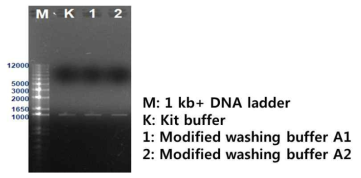 Comparison of optimized washing buffer and commercial kit on gel electrophoresis