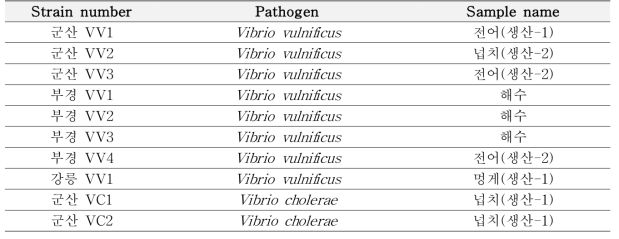 List of Vibrio strains for genomic analysis