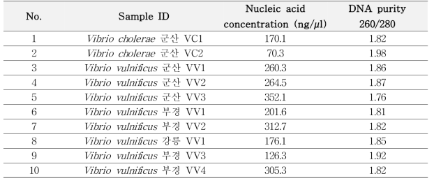 Genomic DNA concentration and DNA purity of isolated Vibrio strains subjected to genomic analysis