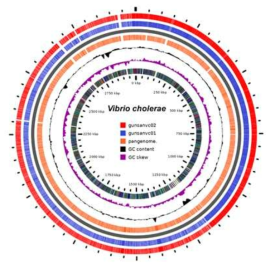 Pan-genomic analysis of Vibrio cholerae isolated from Kunsan