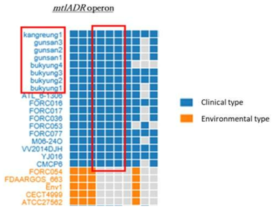 mtlADR operon analysis in pan-genomic results of Vibrio vulnificus