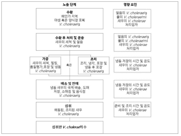 Production-consumption stage for Vibrio cholerae exposure assessment of harvested and processed warm-water shrimp