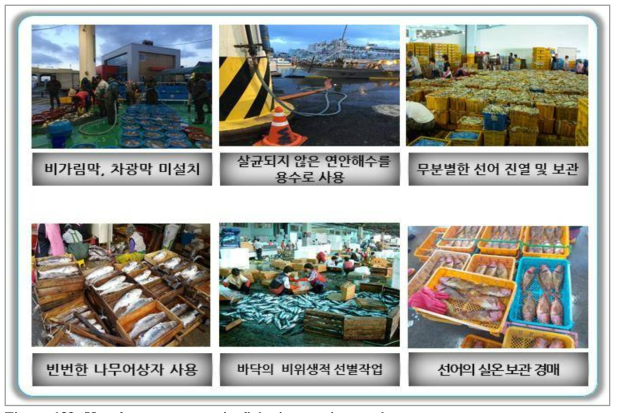Unsafe management in fisheries auction market
