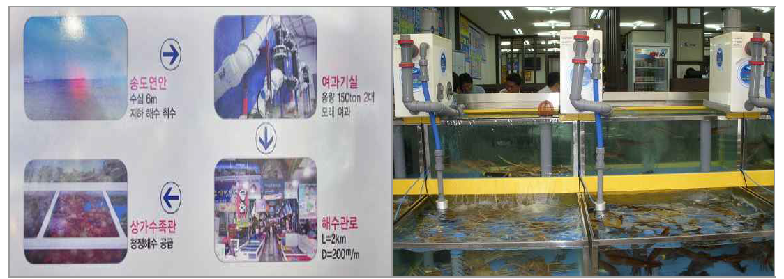 Supply of filtered and sterilized seawater, and a photo-catalytic sterilizer in sashimi restaurant