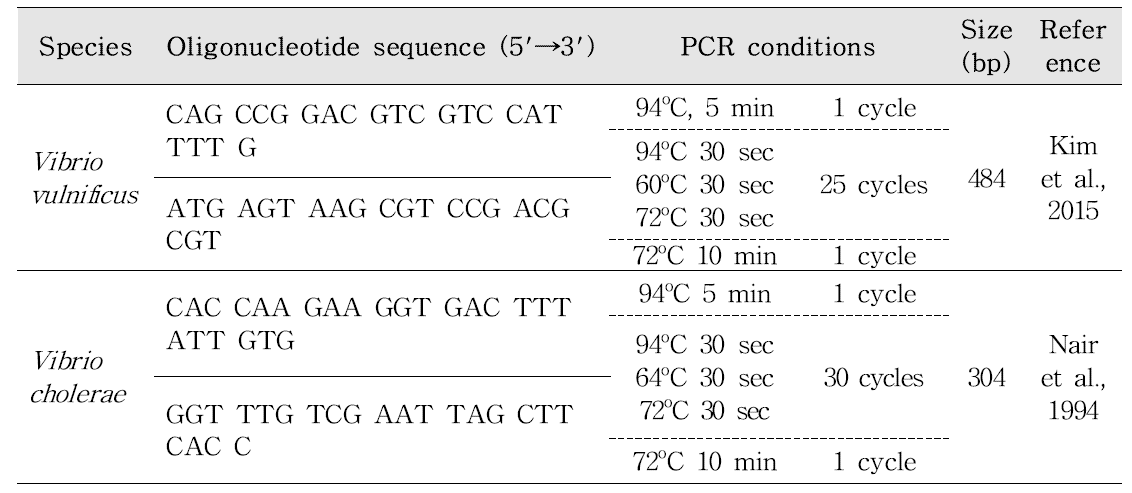 PCR conditions for analysis of Vibrio vulnificus and Vibrio cholerae