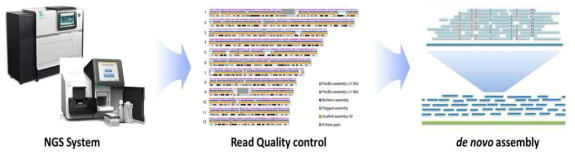 High purity genomic DNA sequencing work-flow of foodborne pathogenic Vibrio spp