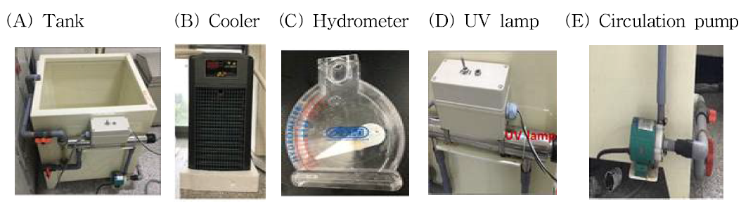 A seawater circulation in tank. (A) A tank of seawater circulation structure; (B) A cooler for maintaining the temperature of seawater in the tank; (C) Hydrometer for measuring dissolved oxygen; (D) UV lamp for disinfection of seawater; (E) Seawater circulation pump