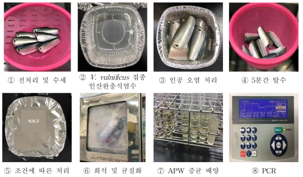 Procedure to evaluate bactericidal effect of Vibrio vulnificus on inoculated gizzard shad samples by organic acid treatment