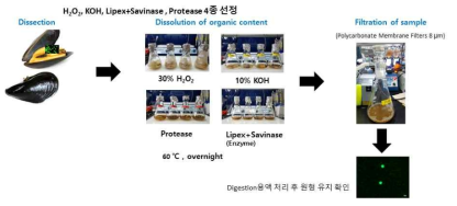 최적의 조직 전처리 방법 선정 절차