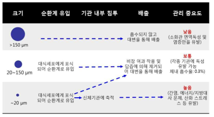 미세플라스틱 크기에 따른 독성동태