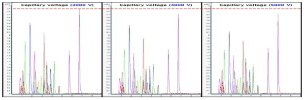 MS/MS 기기 조건 (capilary voltage) 에 따른 감도 변화