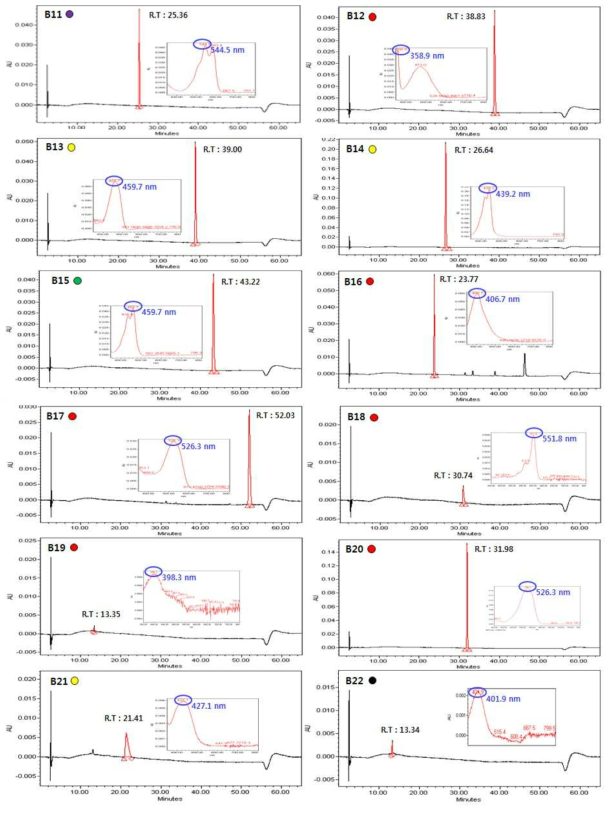 분석대상 착색료 개별 크로마토그램 및 파장 (그룹 B11-B22)