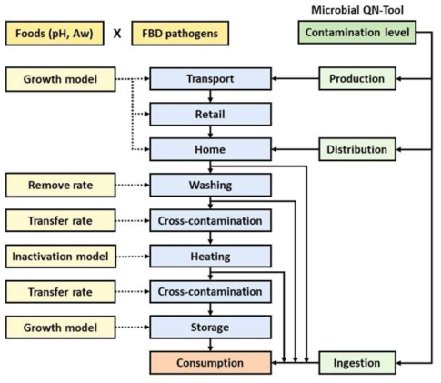 Microbial EA-Tool의 구성