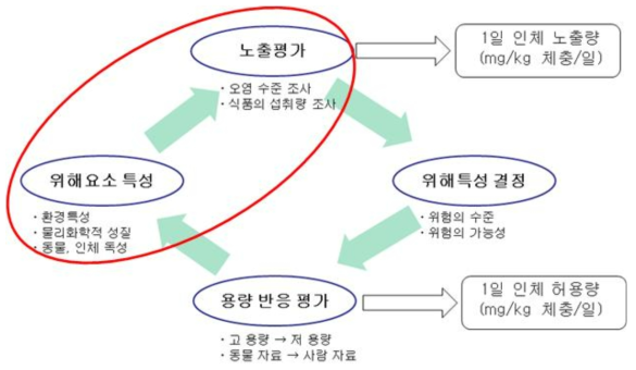 위해평가 절차