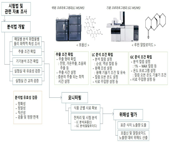 연구 수행 추진 전략