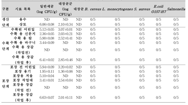 어린잎 재배 및 생산단계에서 미생물학적 오염조사