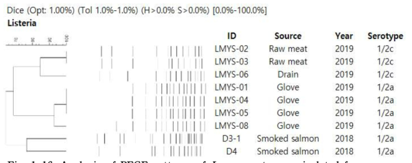 Analysis of PFGE patterns of L. monocytogenes isolated from raw meat, slaughterhouse and Smoked salmon