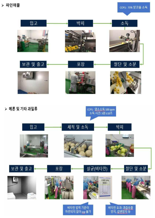 신선편의 과일 파인애플과 멜론의 제조공정도