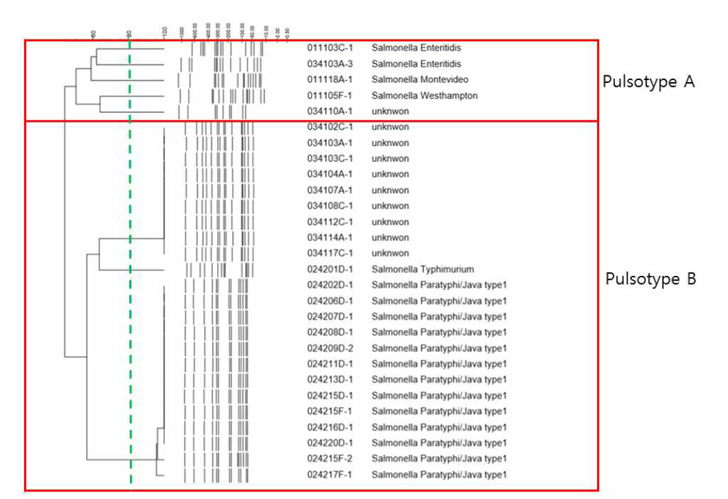 국내 살모넬라균 분리주에 대한 PFGE 분석 결과(2018-19년도)