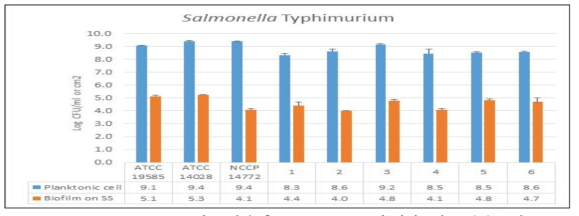 S. Typhimurium의 24시간 후 growth check 및 바이오필름 형성 능력